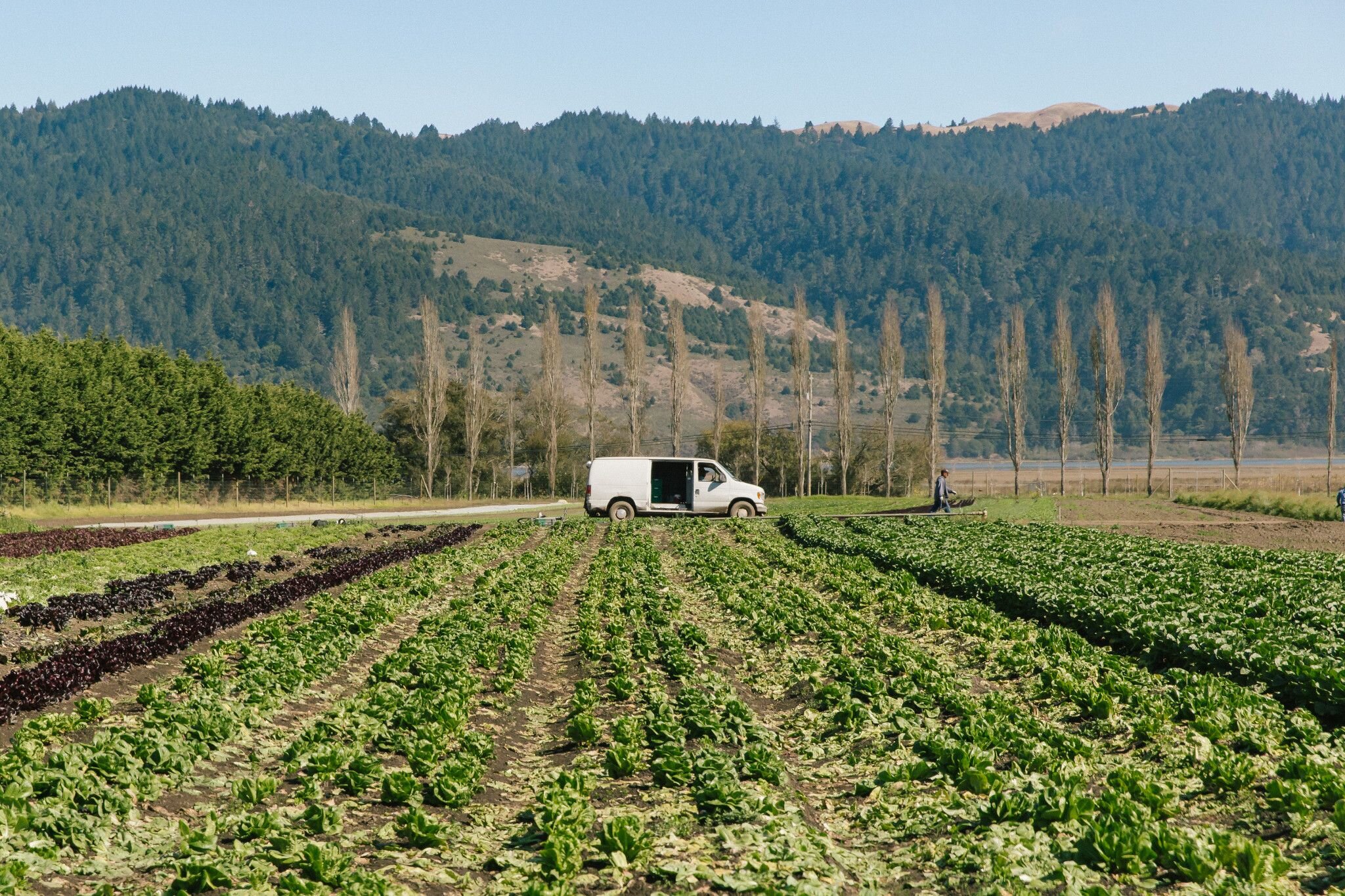 Annabelle+Lenderink+-+10.23.19_OMCTASK4506_Star+Route+Farms_029